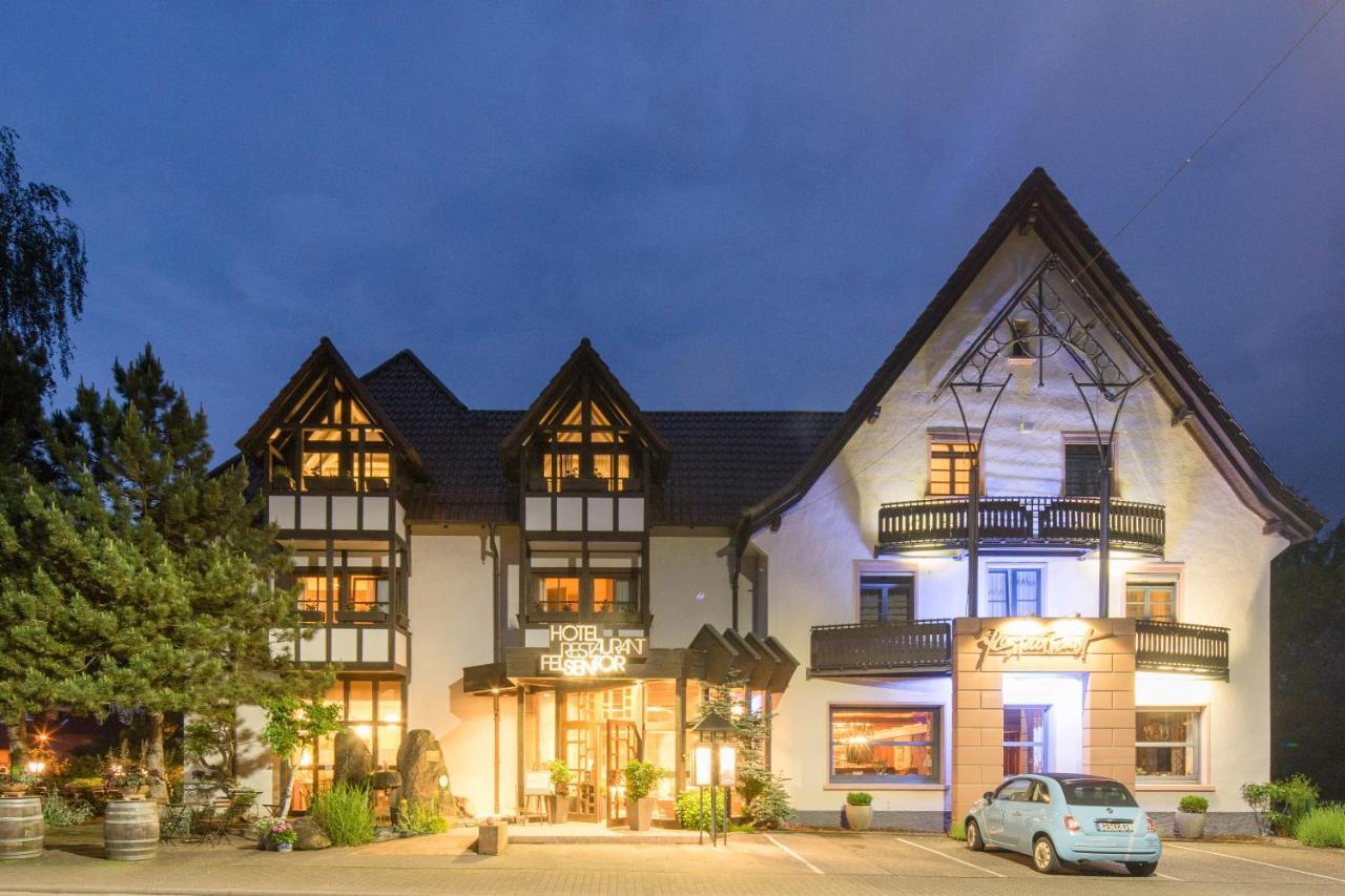 Waldhotel Felsentor Хауэнштайн Экстерьер фото